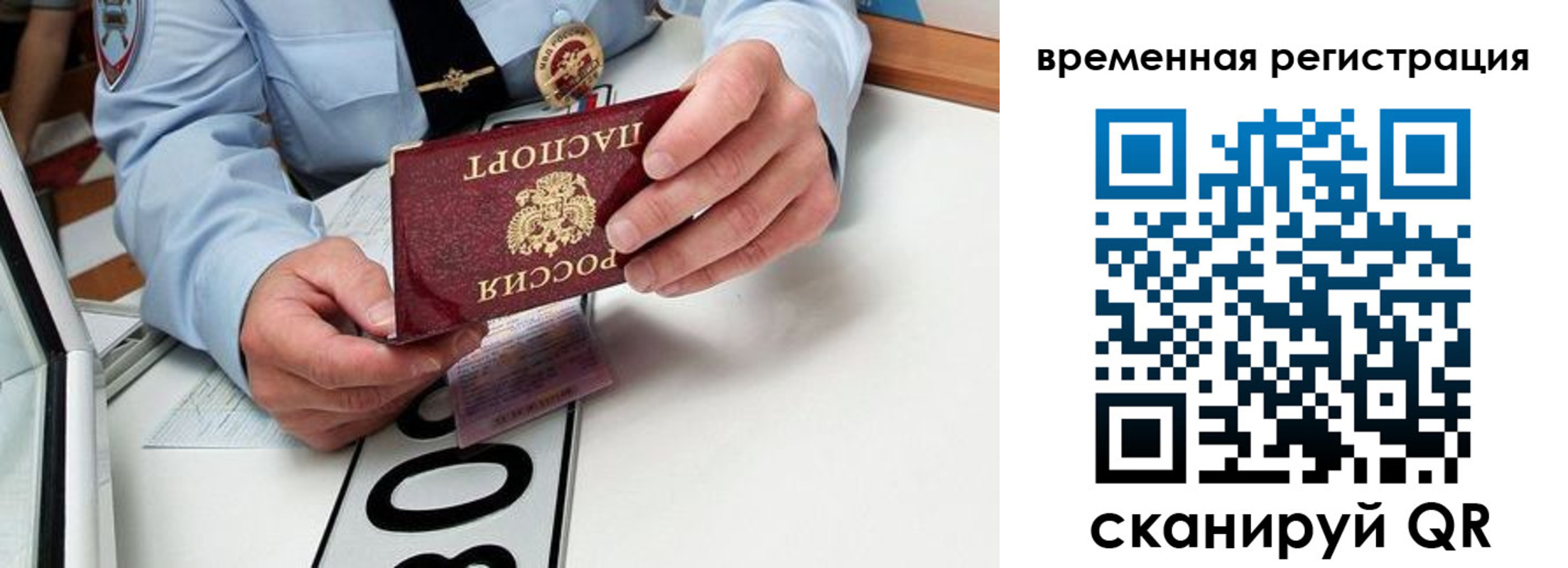 прописка гарантия в Ермолино
